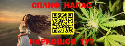 Альфа ПВП Нальчик