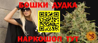 дживик Нарткала