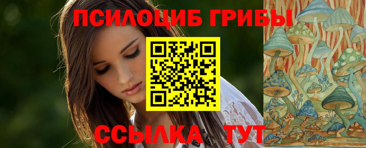 Псилоцибиновые грибы Cubensis Среднеуральск
