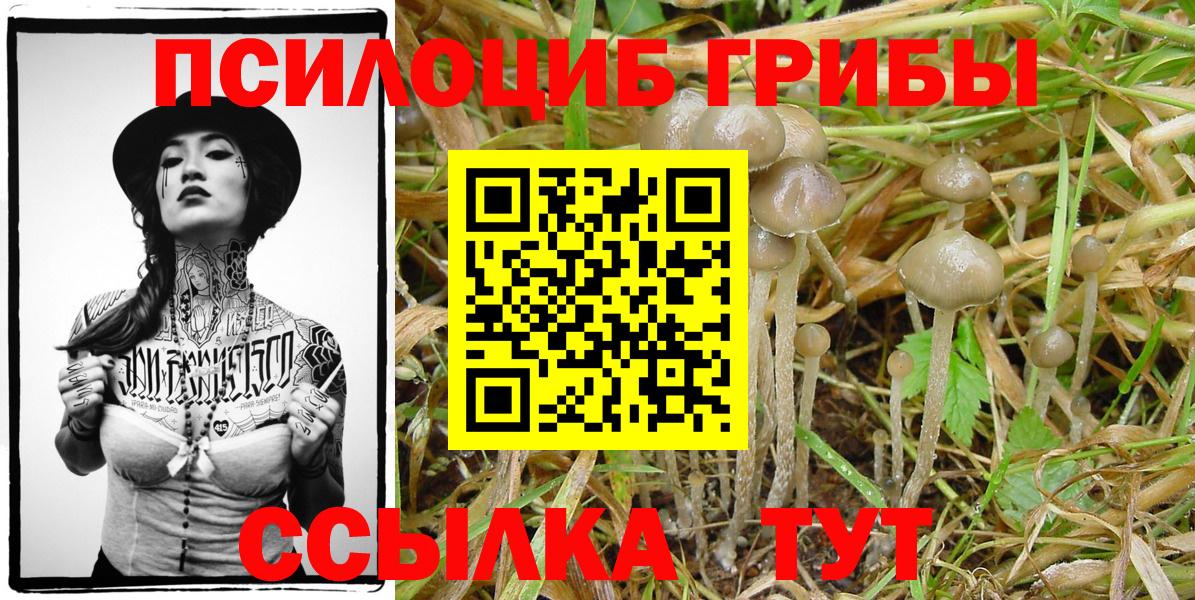 магазин    Вход с VPN  Среднеуральск  Галлюциногенные грибы Psilocybe  Галлюциногенные грибы MAGIC MUSHROOMS 